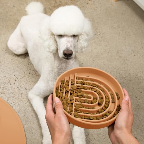 Slow Feeder Dog Bowl - Silicone Dog Bowl, Large, 9.5" x 1.5" - Terracota - Image 6