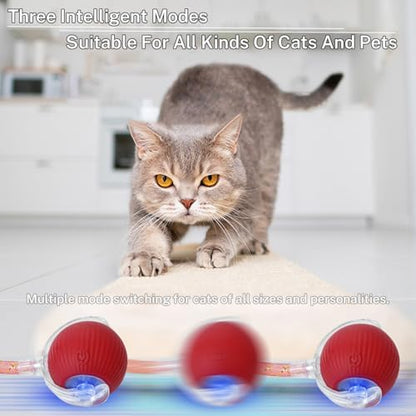 Speedy Tail 3.0 Interactive Toy Ball, 2 Tails for Cats & Dogs - Image 6