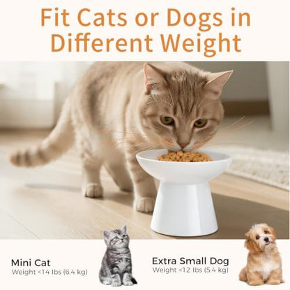 LoeJan Ceramic Raised Cat Bowls, 2 Pack Elevated Cat Food & Water Bowls Set - Image 6