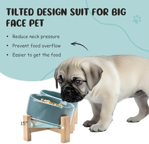 SPUNKYJUNKY 15° Slanted Ceramic Dog and Cat Bowl with Wooden Stand, Tilted Bulldog Food and Water Bowl No Slip Non-Spill for Cats Medium Dogs Big Face Pets 28.7 OZ (3.6 Cups, Light Green × 2) - Image 2