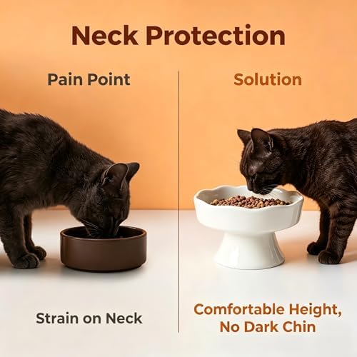 Vexilion pet Elevated Raised Slow Feeder cat Food Ceramic Bowl for Small Dogs for Dry and Wet Food - Image 6