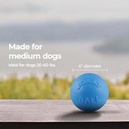 Jolly Pets Bounce-n-Play Dog Toy Ball, 6 Inches, Blueberry, All Breed Sizes - Image 5
