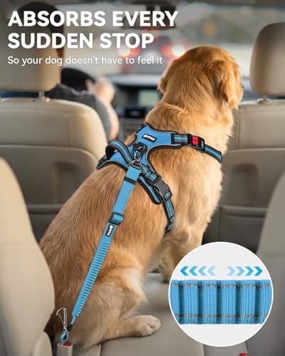 Joytale 3-in-1 Bungee Dog Seat Belt for Car, Medium Large Dogs, Sky Blue - Image 3