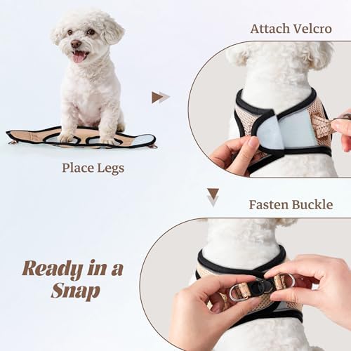 No Pull Dog Puppy Harness and Leash Set Reflective Mesh Vest X-Small - Image 4