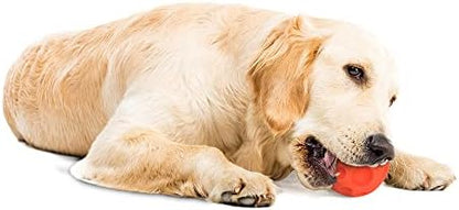 Omega Paw Authentic Tricky Treat Ball - Medium,Orange - Image 5