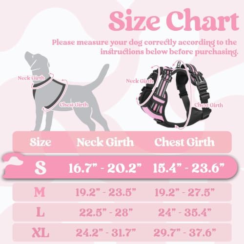 rabbitgoo Dog Harness Small Sized, Updated Easy On & Off with 3 Buckles - Image 2