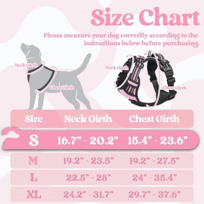 rabbitgoo Dog Harness Small Sized, Updated Easy On & Off with 3 Buckles - Image 2