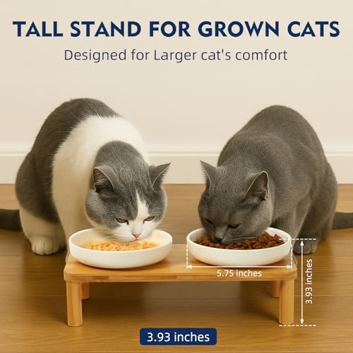 DoogCat Raised Cat Bowls, Bamboo Stand with 2 Ceramic Bowls - Image 2