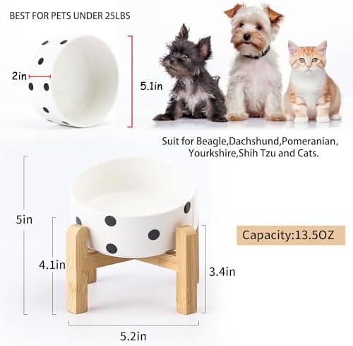 Petygooing Raised/Elevated 15°Slanted Ceramic Dog Bowl for Small Breeds,Tilted Anti Slip Pet Bowl,Food Water Dish with Stand for Cats and Small Dogs Puppy 13.5 OZ (5.1In / 1.7 Cups) Black Dot - Image 3
