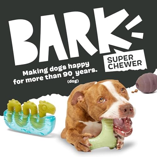 Barkbox Pumpkin Prodigy Dog Toy | Treat-Dispensing Rubber Dog Toy for Aggressive Chewers | Durable Dog Chew Toy for Medium Dogs & Puppy Essentials - Image 6