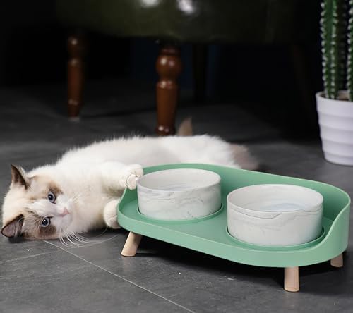 Raised Ceramic Cat Bowls with Stand, Weighted No Tip Over Spill Proof - Image 5