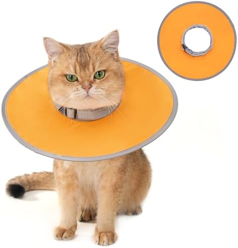 Avont Lightweight Waterproof Foldable Cone, Soft E-Collar - S Orange by Avont