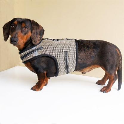 Mini Dachshund Harness – No Armpit Rub, Escape Proof, Reflective, No Pull Vest-Style Dachshunds Harness,Breathable Mesh Dog Harness (Khaki, M: Chest 42-52cm (16.5"-20.5")) - Image 6