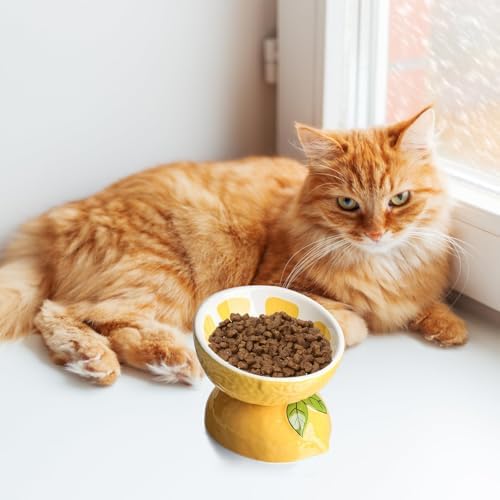 Elevated Cat Food Bowls for Indoor Cats Ceramic Raised Cat Bowl for Food and Water (Yellow) - Image 7