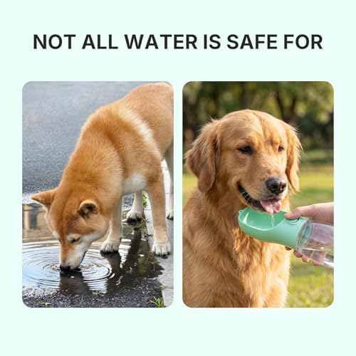 Portable Dog Water Bottle 300ml Leak Proof Pet Drinking Bottle for Dogs & Cats, Outdoor Travel Water Dispenser for Walking Hiking Camping (Lake Green) - Image 6