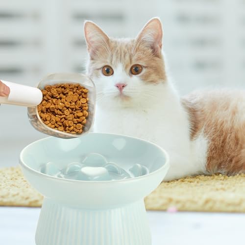 ABuff 2 Pack Raised Cat Slow Feeder, Elevated Slow Feed Dish for Cats and Small Dogs, Ceramic Slow Feeder Cat Bowl, No Spill High Edge for Dry/Wet Food(Blue, Green) - Image 5