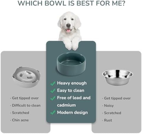 SPUNKYJUNKY 28.7OZ Ceramic Dog and Cat Bowl, Modern Cute Weighted Food Water Bowl for Replacement Light Green (1 Pack) - Image 4