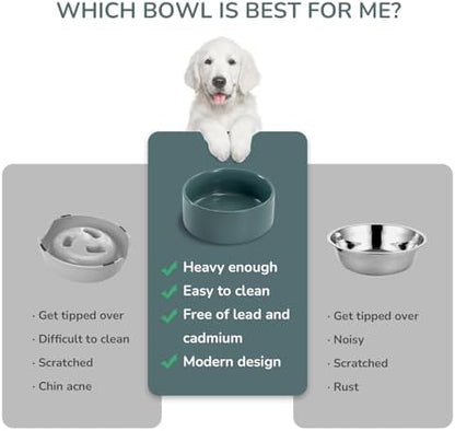 SPUNKYJUNKY 28.7OZ Ceramic Dog and Cat Bowl, Modern Cute Weighted Food Water Bowl for Replacement Light Green (1 Pack) - Image 4
