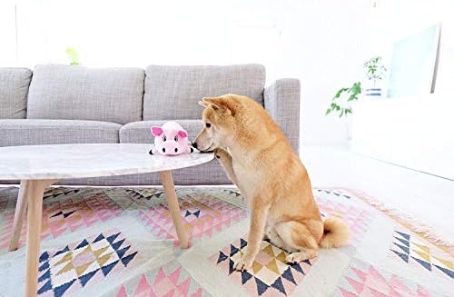 Outward Hound Fattiez Squeaky Plush Dog Toy, Pig, Small, 6.8" - Image 4