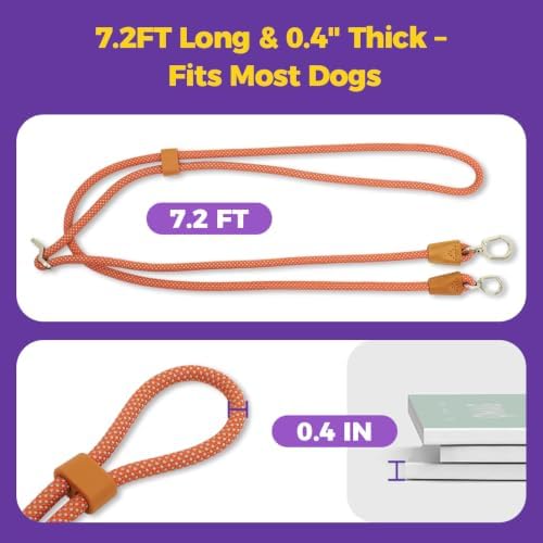 Hands-Free Double Dog Leash 2-in-1 Convertible for Walking & Jogging Orange - Image 7