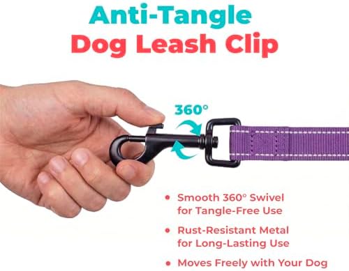 Best Pet Supplies Voyager Nylon Dog Leash - 6ft Purple, Large - Image 7