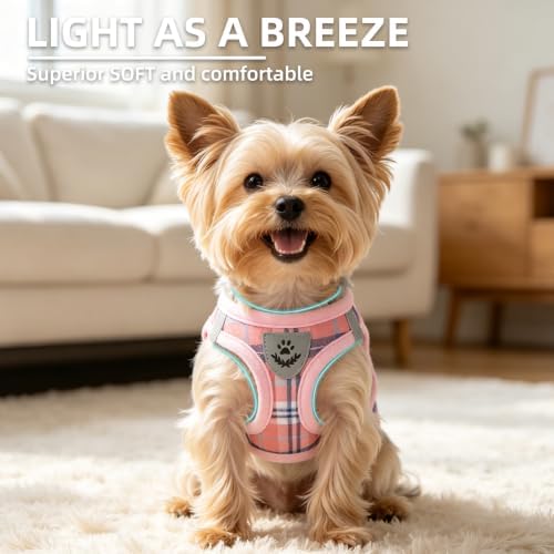 PUPTECK Dog Harness, Collar and Leash Set No Pull for Small Medium Sized - Image 3