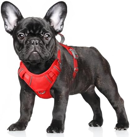 BARKBAY Dog Harness for Small Sized Dog No Pull Dog Vest ID Tag Pocket by BARKBAY