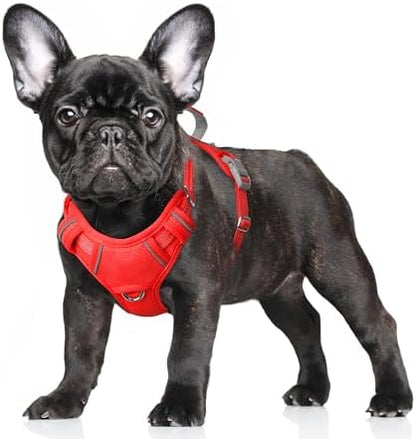 BARKBAY Dog Harness for Small Sized Dog No Pull Dog Vest ID Tag Pocket by BARKBAY