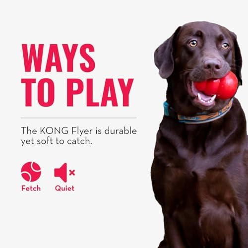 KONG Flyer, Natural Rubber Flying Disc Fetch Toy, for Small Dogs - Image 6