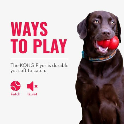 KONG Flyer, Natural Rubber Flying Disc Fetch Toy, for Small Dogs - Image 6
