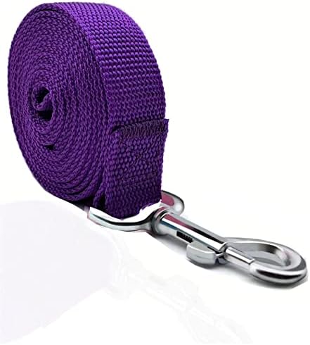 TAIAN 4FT/5FT/6FT Strong Dog Leash, Nylon Dog Leashes for Small Medium Large Dogs (5/8 in x 5 ft, Purple) by TAIAN