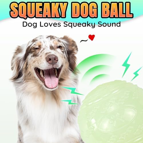 LECHONG 4-Pack 2.5” Glow in The Dark Squeaky Dog Balls, Durable Glowing Bouncy Rubber Fetch Toy Balls for Small Medium Puppy Dogs Nighttime Playing Indoors and Outdoors - Image 6