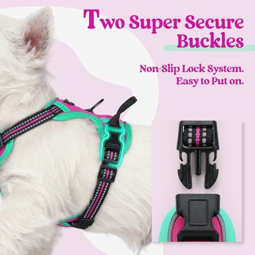 rabbitgoo Dog Harness, No Pull for Small Dogs with 2 Leash Clips, Pet Vest - Image 3