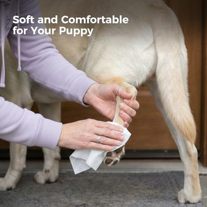 Extra Large 8“ x 13" Dog Wipes, Hypoallergenic, Lavender Scented, Plant-Based Grooming Wipes for Deodorizing & Hydrating Paws, Body, Butt, Ears & Coat - 360 Count - Image 7