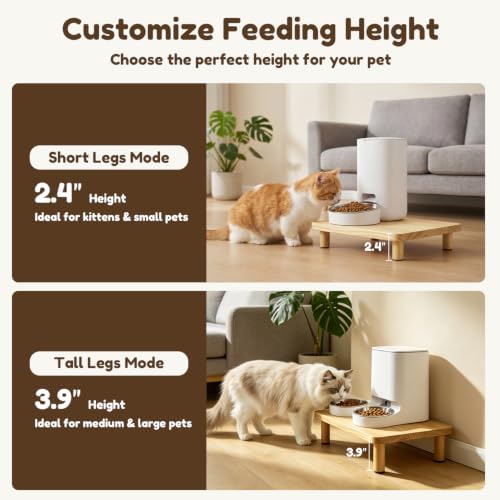 Elevated Cat Food Stand for Automatic Feeders, 13.5 x 7.8, 2 Pack - Image 3