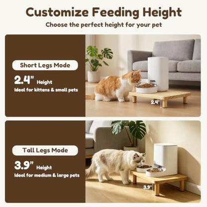 Elevated Cat Food Stand for Automatic Feeders, 13.5 x 7.8, 2 Pack - Image 3