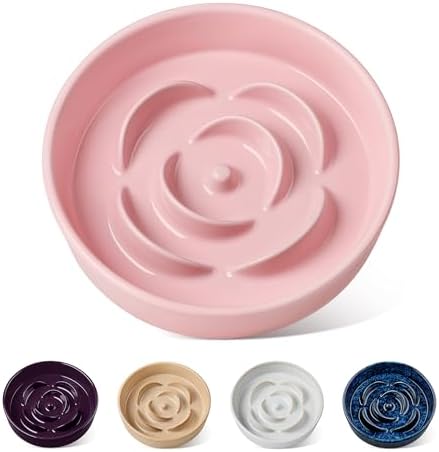 vancasso Ceramic Slow Feeder Dog Bowl, 0.6 Cup Puzzle Dish for Small Breeds by vancasso