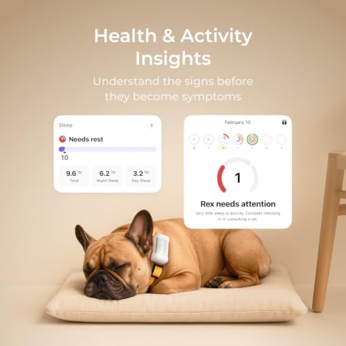 Petcube GPS Tracker for Dogs – Real-Time GPS Tracking & Escape Alerts - Image 5