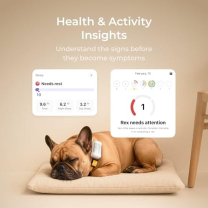 Petcube GPS Tracker for Dogs – Real-Time GPS Tracking & Escape Alerts - Image 5