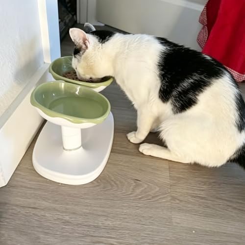 Elevated Cat Bowls, Raised Cat Dishes for Food and Water, Pet Food Bowls - Image 2