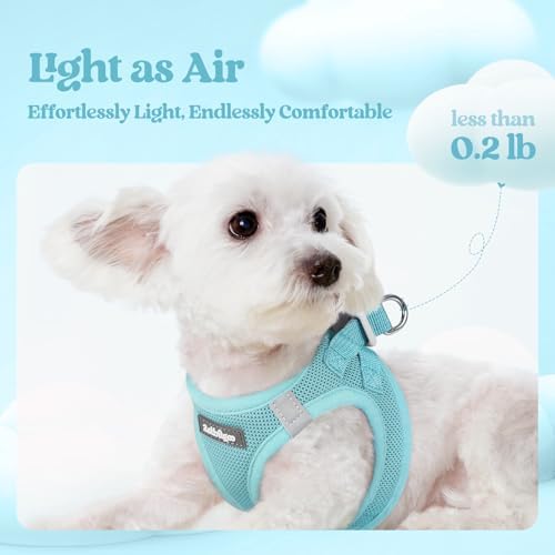 rabbitgoo Dog Harness Medium Sized and Leash Set, Step-in Puppy Pet Vest - Image 4