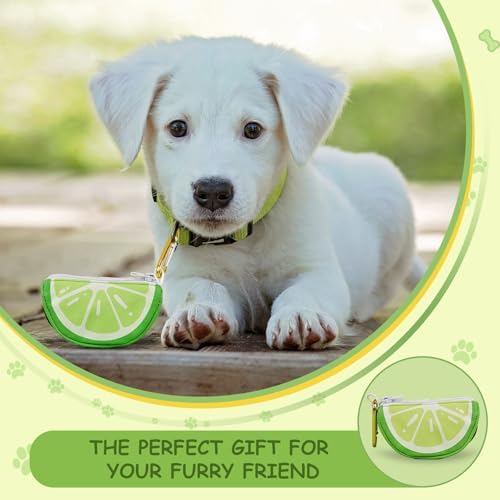 Dog Poop Bag Holder for Leash with Carabiner, Lime, Medium - Image 5