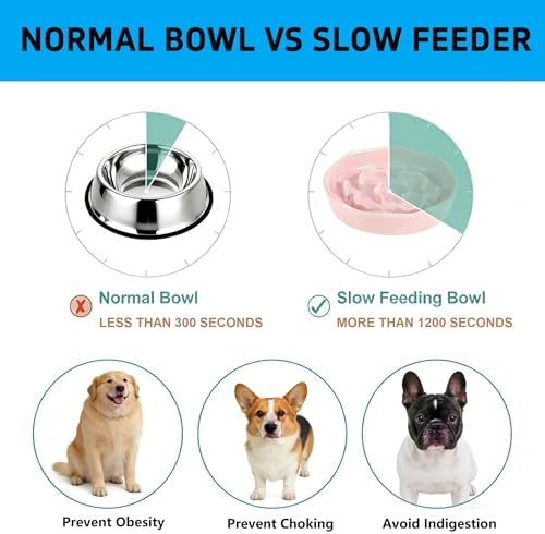 Pet Feeding Bowls, Ceramic Slow Feeder Dog Bowl - Heavy Weighted Blue Bloom Food Dish for Small to Medium Dogs - Non-Slip, Microwave & Dishwasher Safe Pottery Maze to Fast Eating (Pink) - Image 3