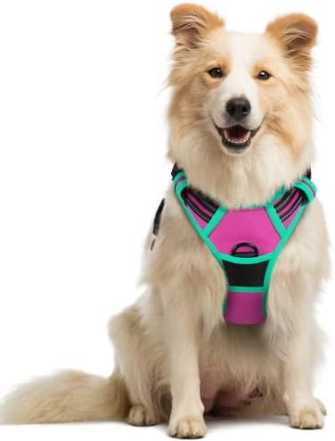 rabbitgoo Dog Harness, No Pull Medium Sized with 2 Leash Clips, Pet Vest by rabbitgoo