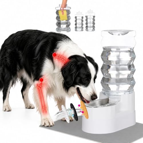 RIZZARI 9L Elevated Dog Water Dispenser: Large Capacity Wide Mouth by RIZZARI