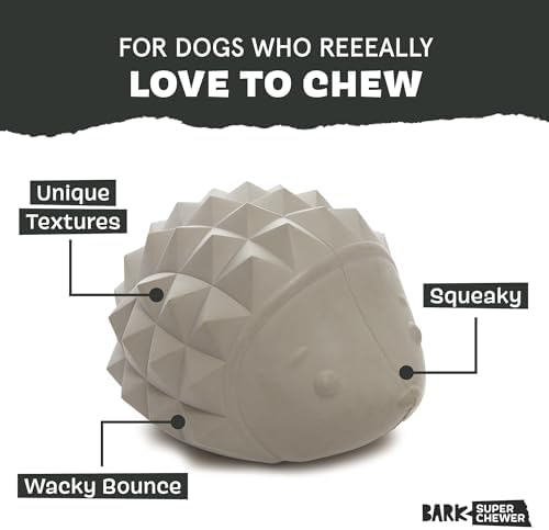 BarkBox Sven the Hedgie Rubber Dog Toy - Toy for Small Dogs - Image 4