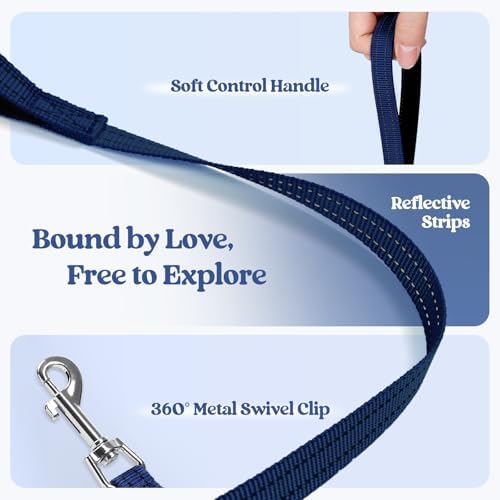 rabbitgoo Dog Harness Small Sized and Leash Set, Step-in Puppy Pet Vest - Image 7