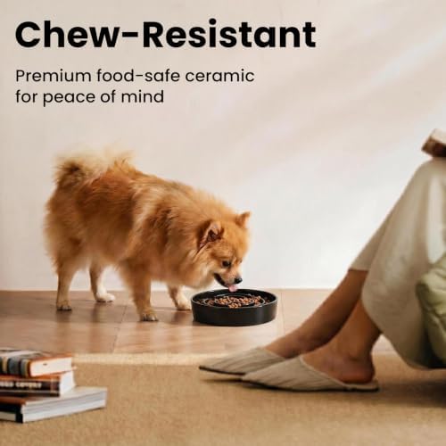 Ceramic Slow Feeder Dog Bowls 0.6 Cups for Small Fast Eaters,White - Image 3