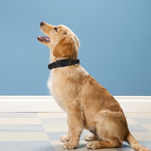 Reflective Dog Collar, Adjustable Soft Neoprene Padded,Black,L - Image 2