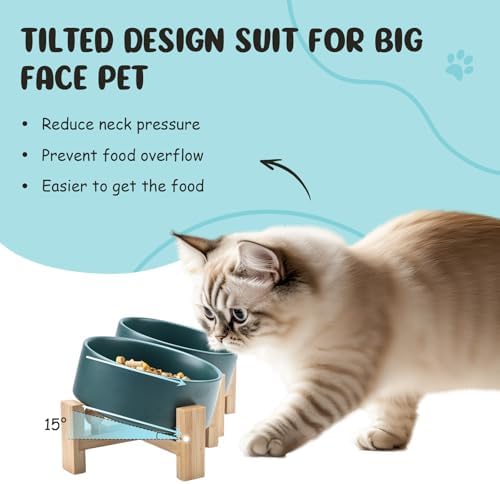 SPUNKYJUNKY 15° Slanted Ceramic Dog and Cat Bowl with Wooden Stand, Tilted Bulldog Food and Water Bowl No Slip Non-Spill for Cats Medium Dogs Big Face Pets 13.5 OZ (1.7 Cups, Green × 2) - Image 2